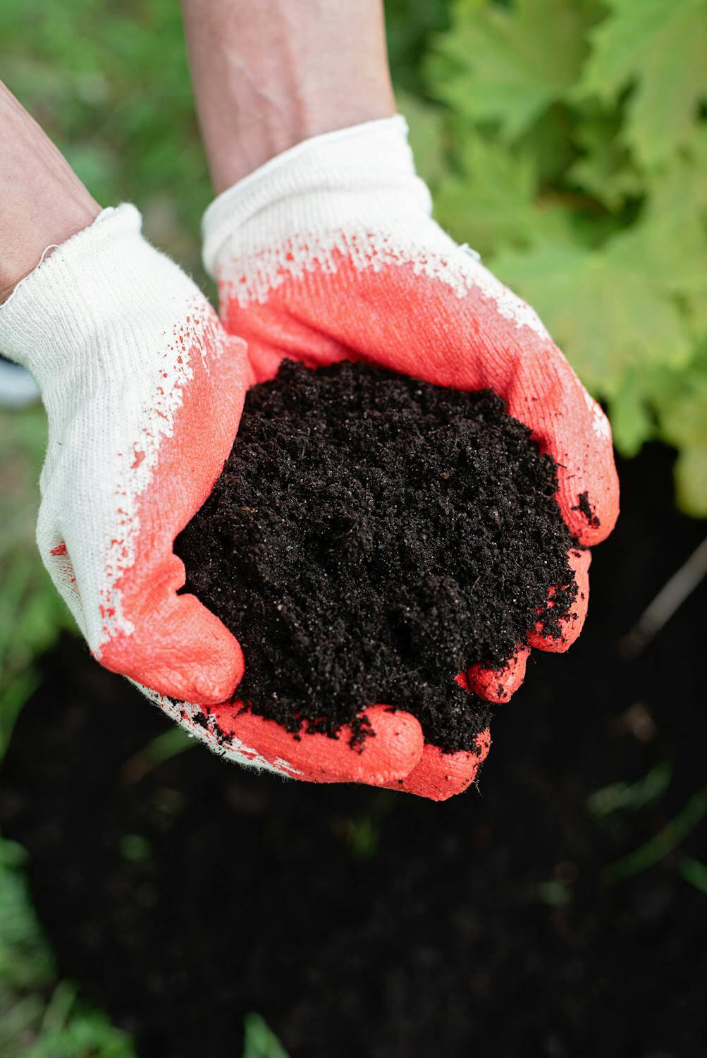 Hands with Soil