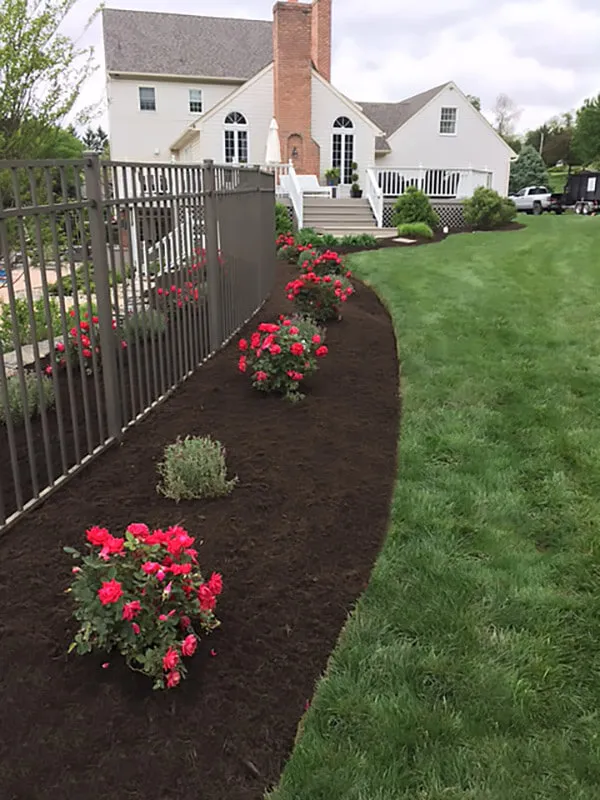 landscape & mulch